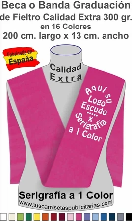 Bandas de Graduación Universitaria