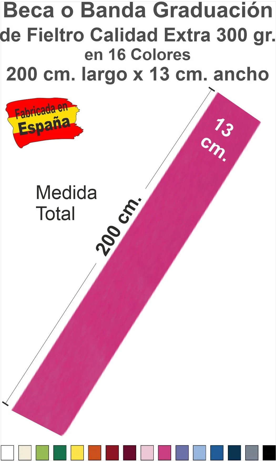 Bandas de Graduación Universitaria