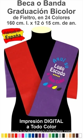 Beca Graduación Bicolor Todo Color