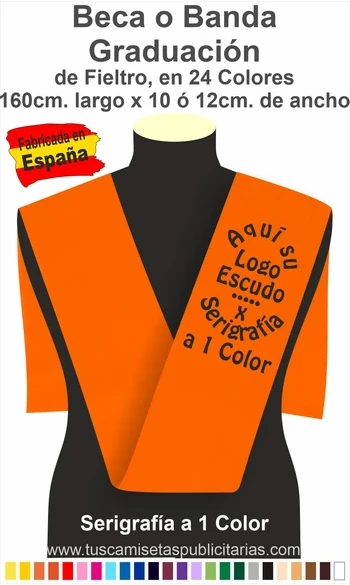 Beca de Graduación Universitaria